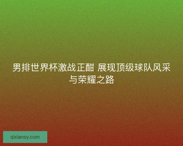 男排世界杯激战正酣 展现顶级球队风采与荣耀之路 男排世界杯激战正酣 展现顶级球队风采与荣耀之路