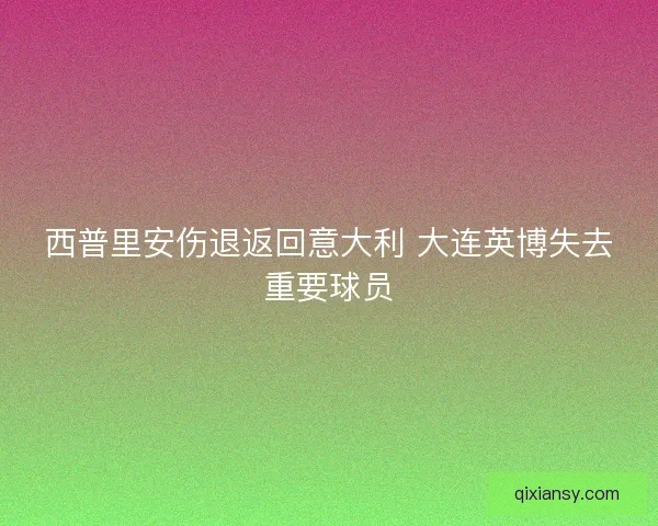 西普里安伤退返回意大利 大连英博失去重要球员 西普里安伤退返回意大利 大连英博失去重要球员